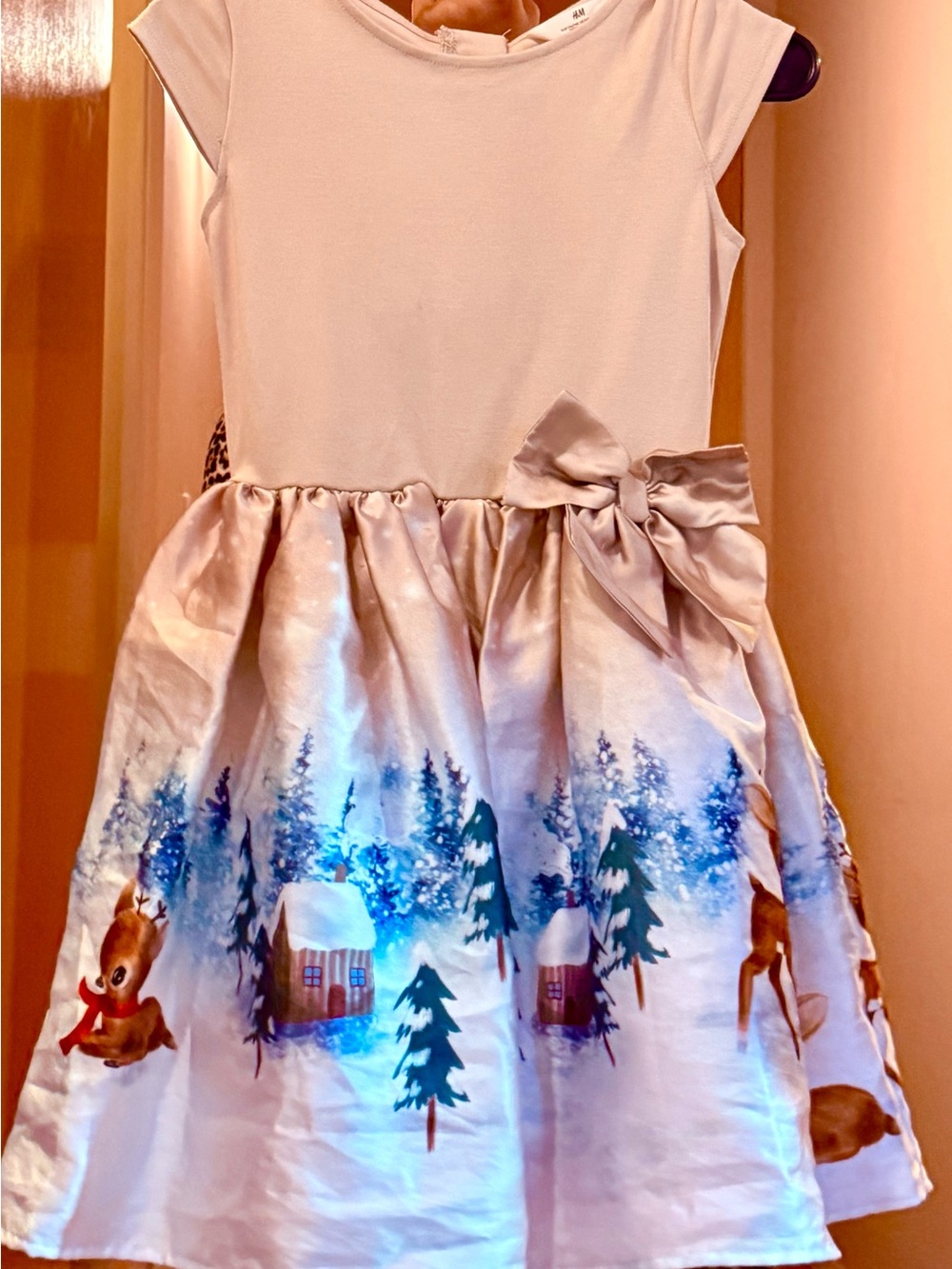Party Dress